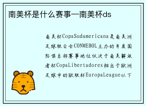 南美杯是什么赛事—南美杯ds